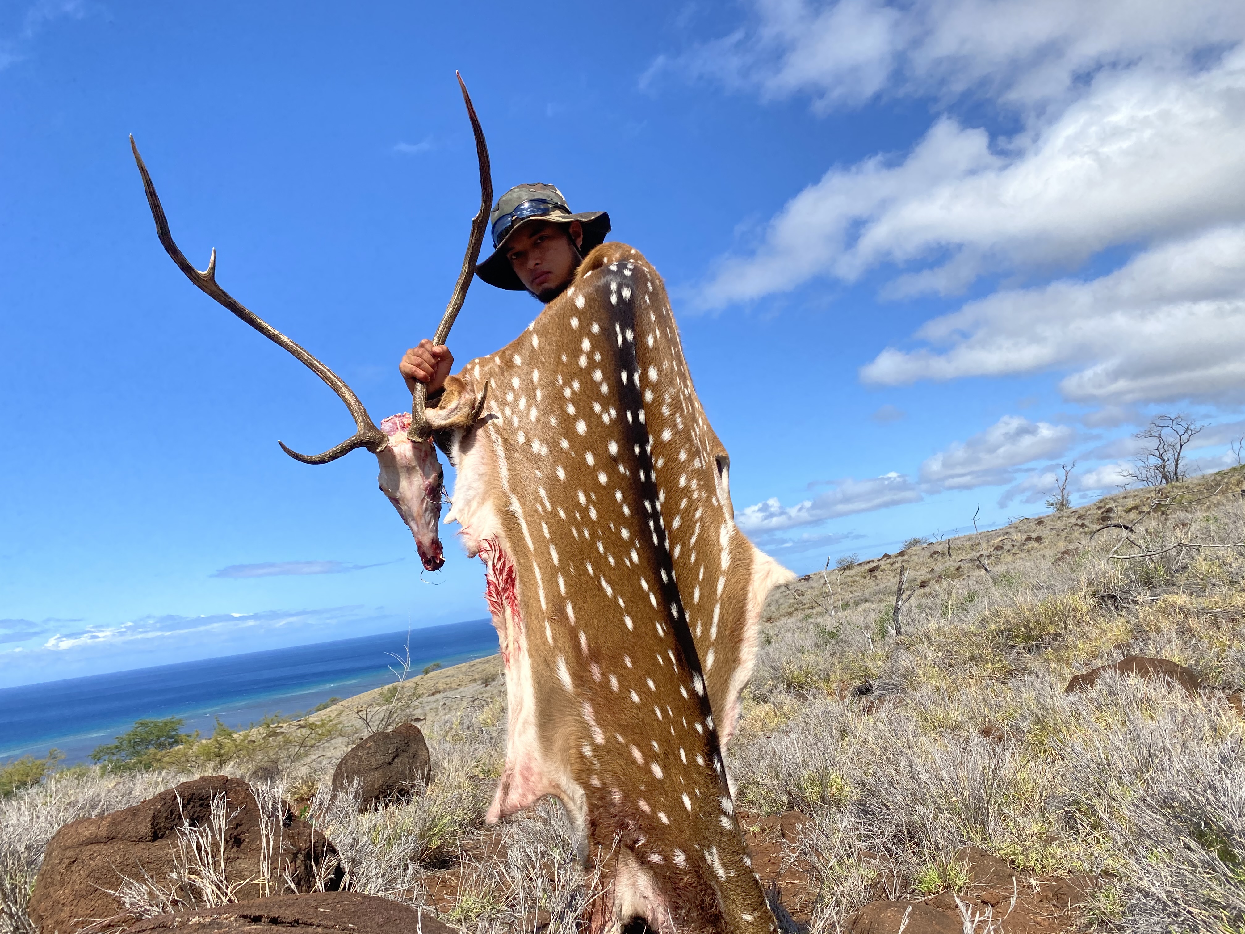 Pono Style Adventures — axis deer hunting on Molokai, Hawaii