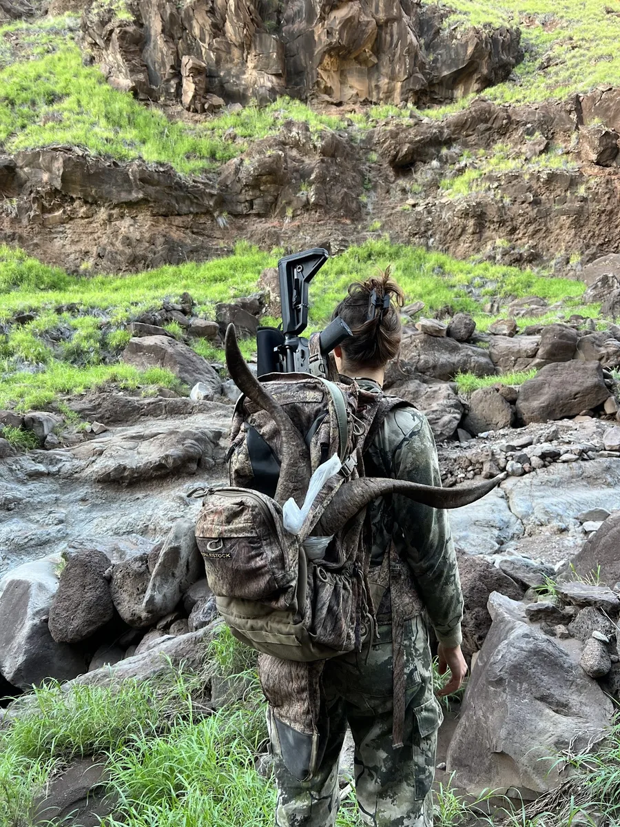 A woman in camouflage carries a hunting pack with goat horns through rocky terrain.